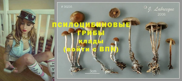 мескалин Нязепетровск