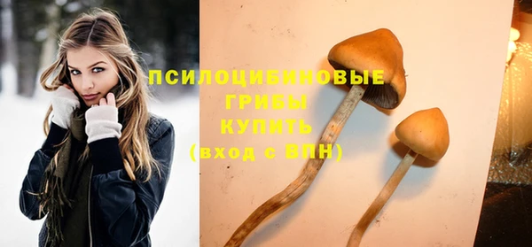 экстази Няндома