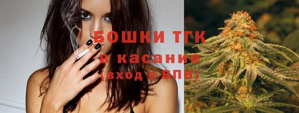 экстази Няндома