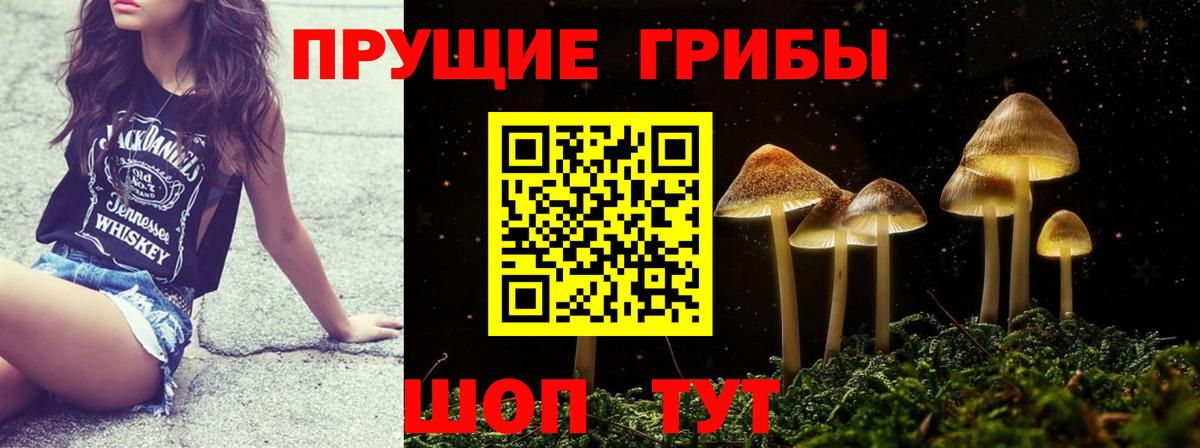 Галлюциногенные грибы Psilocybe  Вход с VPN  Псилоцибиновые грибы Cubensis  Рязань 