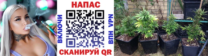 Канабис THC 21% Рязань